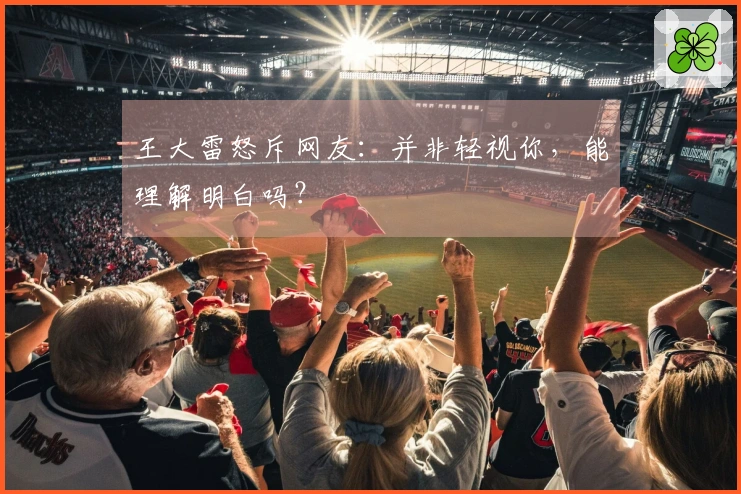 王大雷怒斥网友：并非轻视你，能理解明白吗？